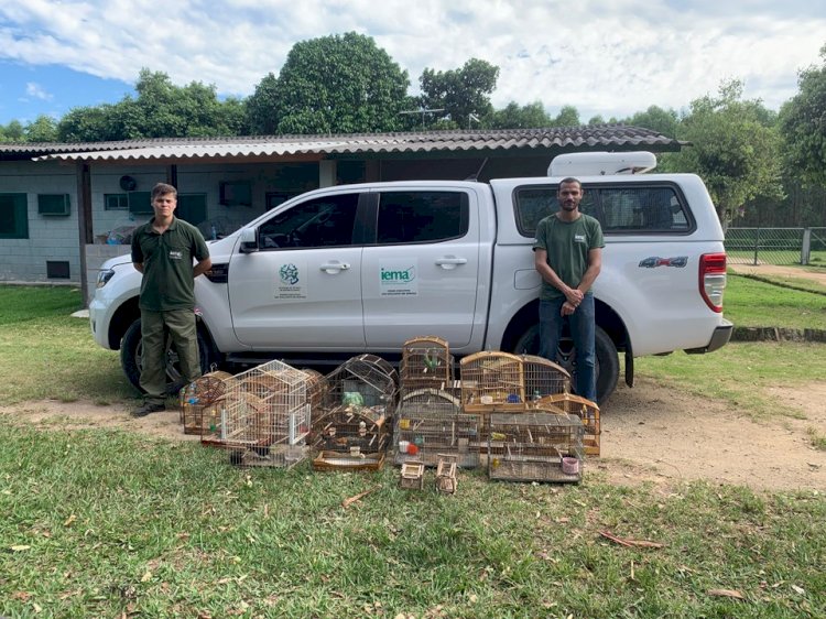 Iema combate cativeiros ilegais de fauna em Aracruz