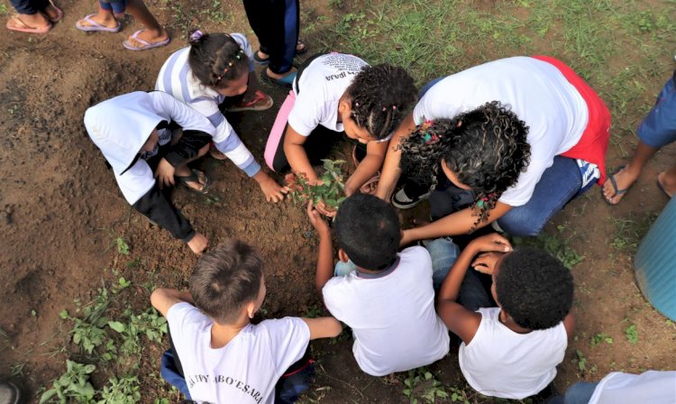 Alunos da EMP Irajá realizam o plantio de mais de 20 mudas de plantas nativas