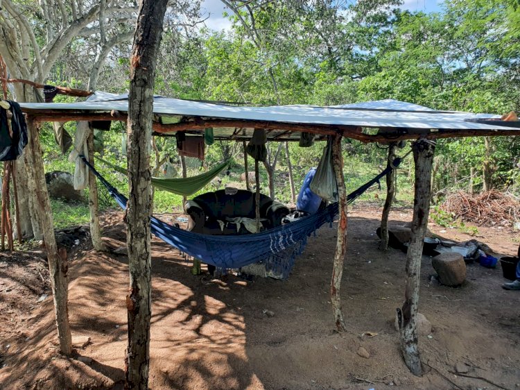 Trabalhadores em condições análogas à escravidão são resgatados de fazenda de café em Sooretama