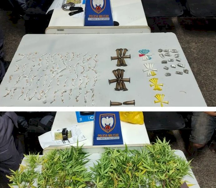 Mudas de Cannabis e drogas são apreendidas em Aracruz