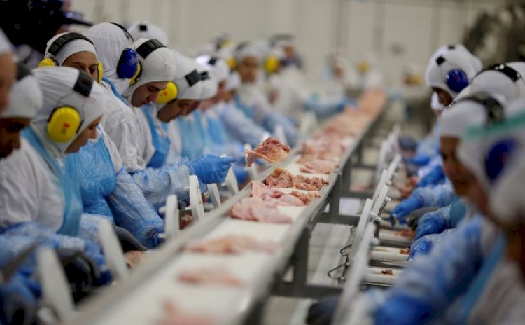 Japão retira embargo sobre importação de produtos Avícolas do ES