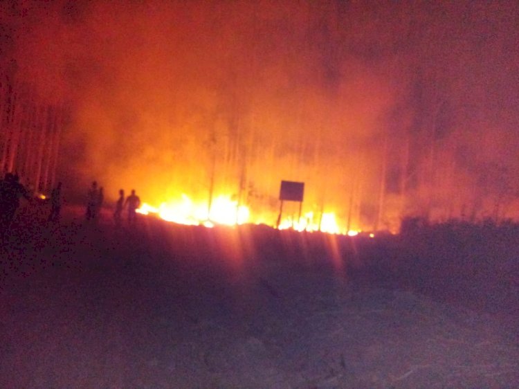 Suzano investiga em Aracruz suspeita de incêndio criminoso em área da empresa