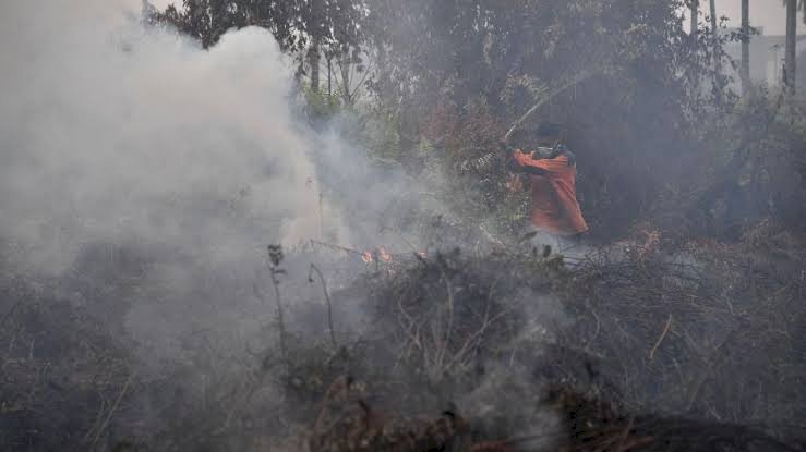 ES já registrou 300 incêndios nos primeiros 15 dias de novembro