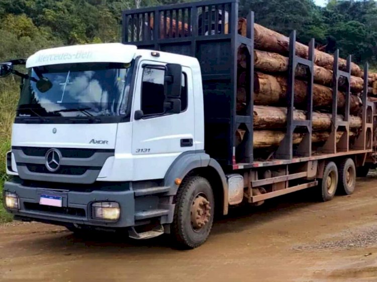 Caminhão com carga de madeira furtado em Ibiraçu é recuperado pela Polícia Civil