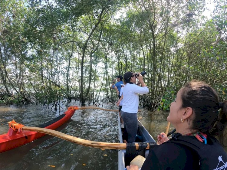 Pesquisadores fazem 1° 'censo' de garças em ilha de Aracruz