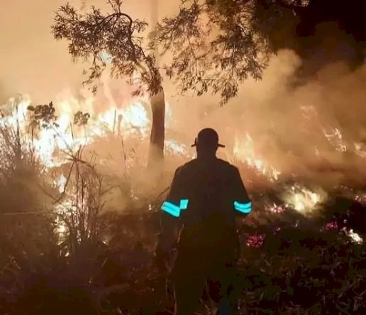 Em novembro foram registrados 560 incêndios em vegetação no ES