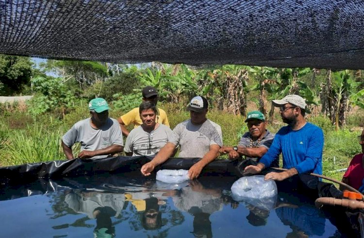 Projeto de Aquaponia incentiva produção de peixes e hortaliças em Aracruz