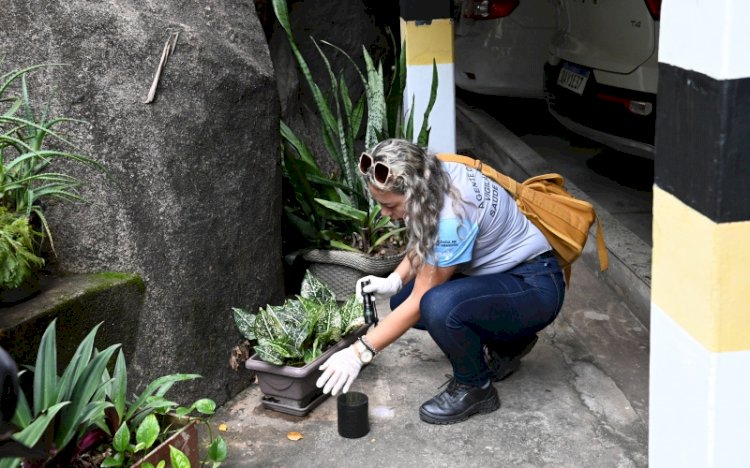 Aracruz e João Neiva em alerta potencial de surto epidêmico de dengue em 2024.