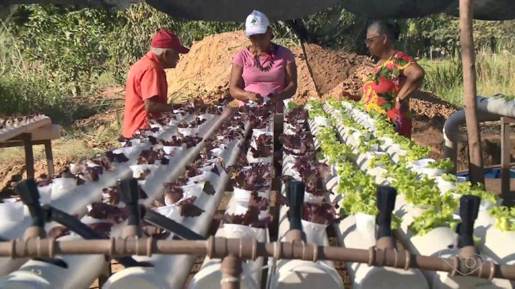 Aldeia indígena de Aracruz une criação de peixes ao cultivo de verduras e hortaliças