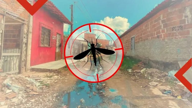 Estudo do TCE-ES relaciona casos de dengue com a falta de saneamento básico em João Neiva e demais municípios do ES