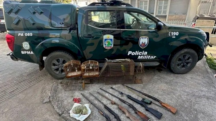 Polícia apreende armas de fogo e animais silvestres em Aracruz e João Neiva