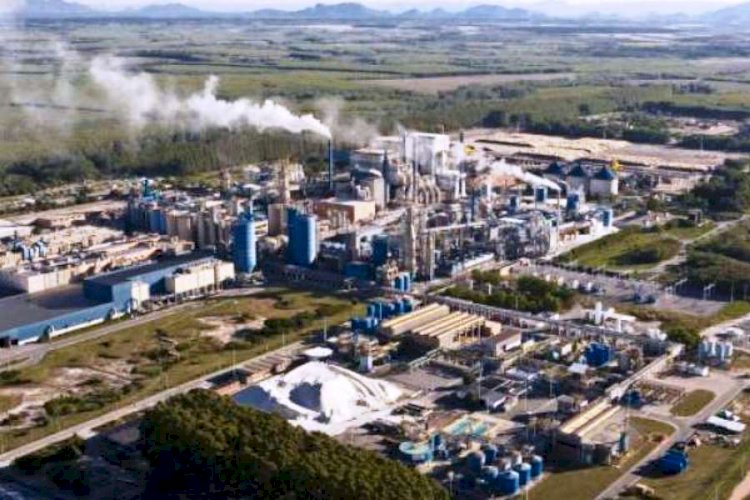 Suzano oferece 11 novas vagas de emprego e estágio em Aracruz