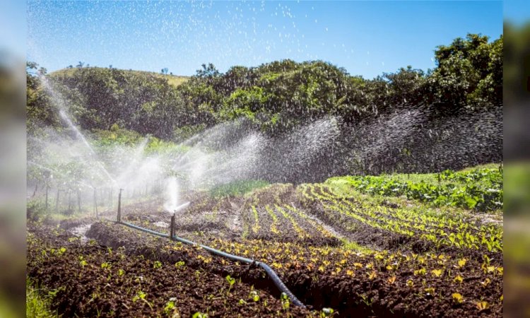 Programa Estadual de Segurança Hídrica beneficiará cidades de Ibiraçu e João Neiva