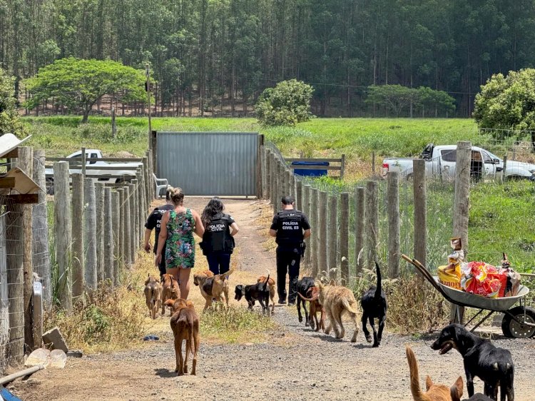 Mulher é presa por maus-tratos e polícia resgata 26 cachorros em Aracruz