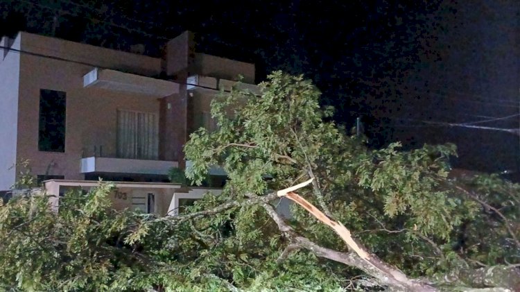 Tempestade causa estragos, deixa Ibiraçu sem sinal da Vivo e bairro sem luz