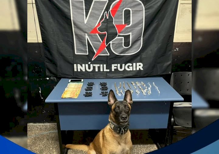Polícia apreende drogas, dinheiro e aparelho celular em Barra do Riacho