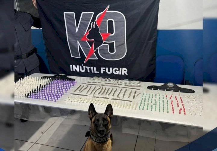 Operação com cão farejador resulta na apreensão de drogas em Aracruz