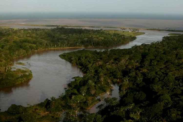 ES ganha área de proteção ambiental na foz do Rio Doce