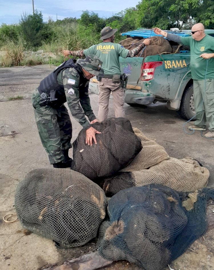 Ação conjunta no litoral de Aracruz resulta na apreensão de petrechos ilegais de pesca de camarão