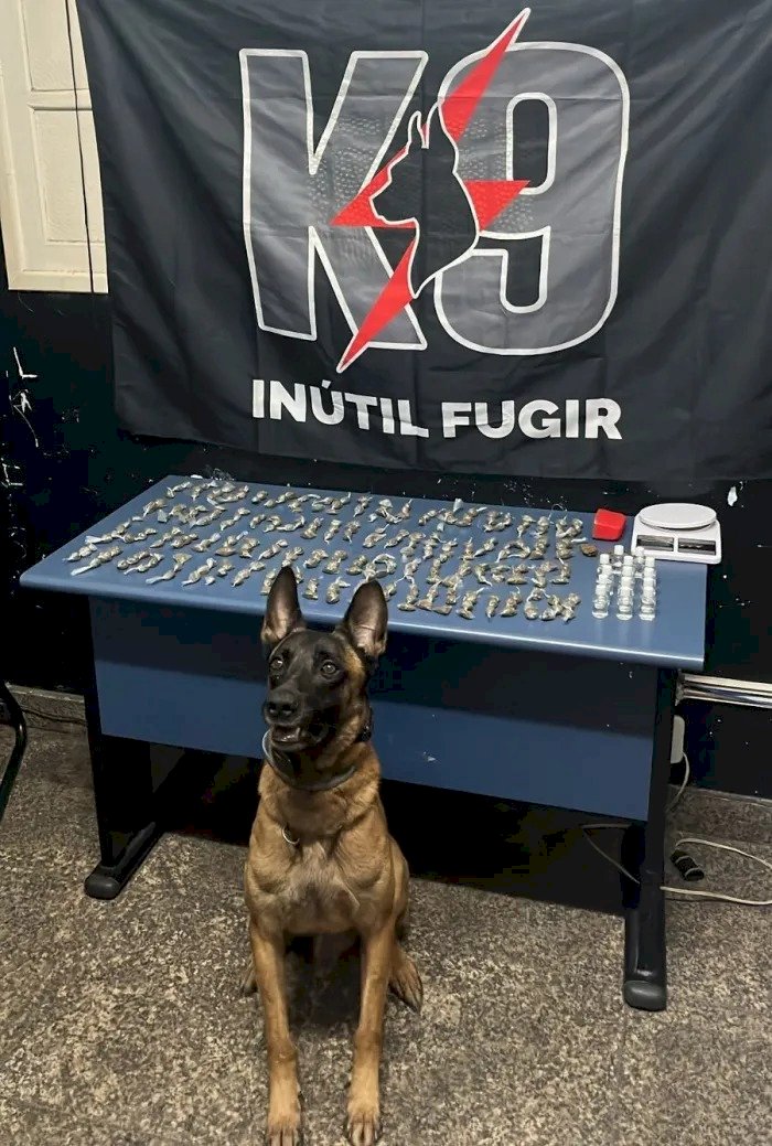 K9 apreende grande quantidade de drogas e dois indivíduos em Aracruz
